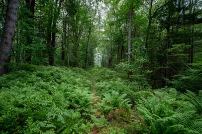 0 Wildes District Road, Kennebunkport, ME 04046 - Photo 5