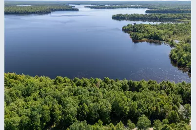 Lot 5 Black Cat Point, Princeton, ME 04668 - Photo 11
