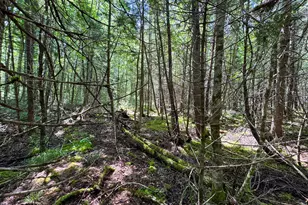 176 Front Ridge Rd, Houlton, ME 04730 - Photo 17