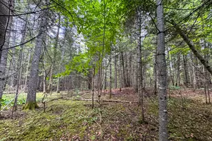 176 Front Ridge Rd, Houlton, ME 04730 - Photo 21