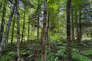 176 Front Ridge Rd, Houlton, ME 04730 - Photo 15