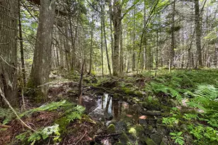 176 Front Ridge Rd, Houlton, ME 04730 - Photo 19