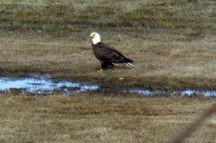 163 Middle Rd, North Haven, ME 04853 - Photo 31