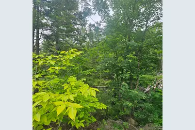 Lot 1 Kelly Lane, Millinocket, ME 04462 - Photo 19