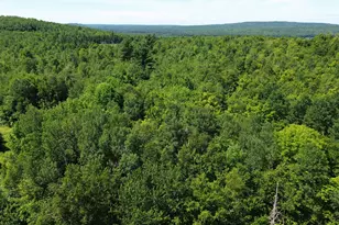 178 Irish Settlement Rd, Danforth, ME 04424 - Photo 41