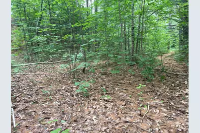 0 Hartland Avenue, Pittsfield, ME 04967 - Photo 5