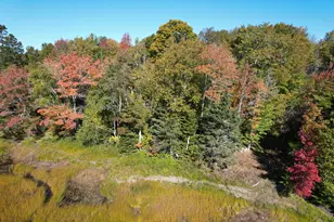 47 Tranquility Ln, Perry, ME 04667 - Photo 71