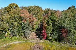 47 Tranquility Ln, Perry, ME 04667 - Photo 69