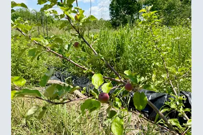 610 E Sangerville Road, Sangerville, ME 04479 - Photo 39