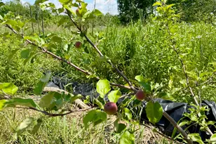 610 E Sangerville Rd, Sangerville, ME 04479 - Photo 39