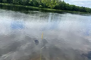 426 Main Rd, Milford, ME 04461 - Photo 33