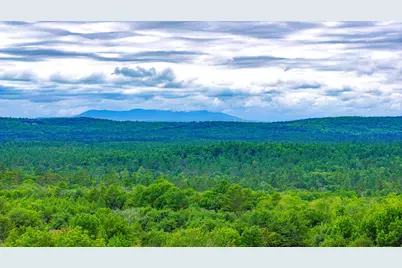 259 Leach Hill Road, Casco, ME 04015 - Photo 5