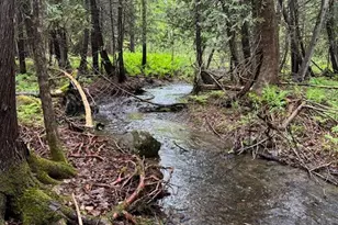 1698 Exeter Rd, Exeter, ME 04435 - Photo 41