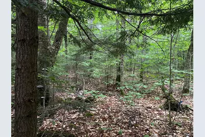 Lot 29 Scammon Road, Greenville, ME 04441 - Photo 5
