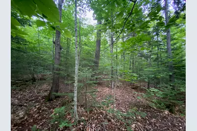 Lot 29 Scammon Road, Greenville, ME 04441 - Photo 9