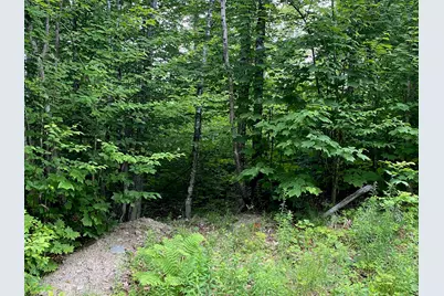 Lot 29 Scammon Road, Greenville, ME 04441 - Photo 3