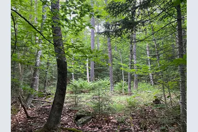 Lot 29 Scammon Road, Greenville, ME 04441 - Photo 7