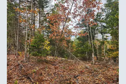 Lot B Blackberry Lane, Buckfield, ME 04220 - Photo 9