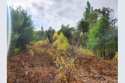 Lot B Blackberry Lane, Buckfield, ME 04220 - Photo 11