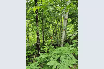 Lot C Fern Drive, Buckfield, ME 04220 - Photo 9