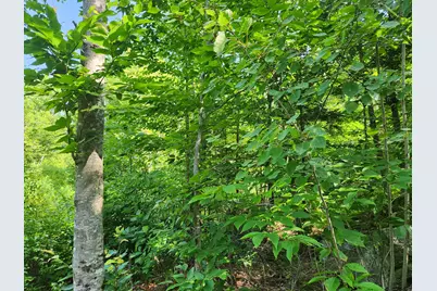 Lot C Fern Drive, Buckfield, ME 04220 - Photo 23