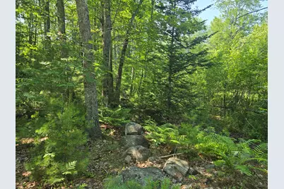 00 Head Tide Hill Road, Alna, ME 04535 - Photo 9