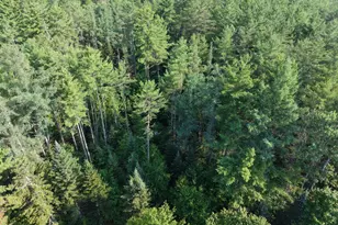 6 The Pnes Dr, New Portland, ME 04961 - Photo 45