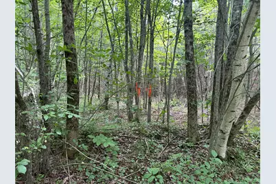 M40 L13-6 Mallard Road, Madison, ME 04950 - Photo 7