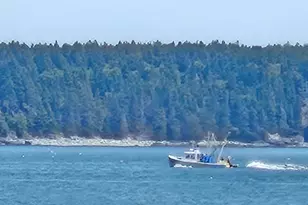 541 Mason Bay Rd, Jonesport, ME 04649 - Photo 91