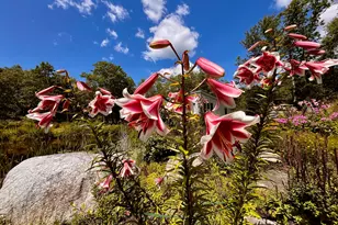 359 Lower Round Pond Rd, Bristol, ME 04539 - Photo 19