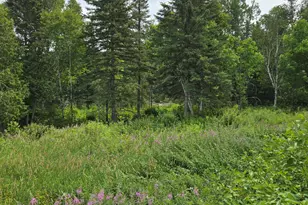 858 Allagash Rd, Allagash, ME 04774 - Photo 63