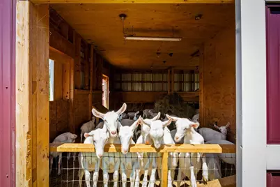 60 Danforth Road, China, ME 04358 - Photo 5