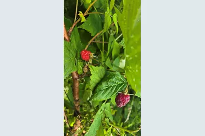 27 Mountain View Road, Leeds, ME 04263 - Photo 57