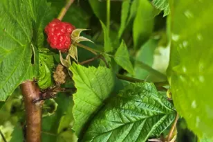 27 Mountain View Rd, Leeds, ME 04263 - Photo 57