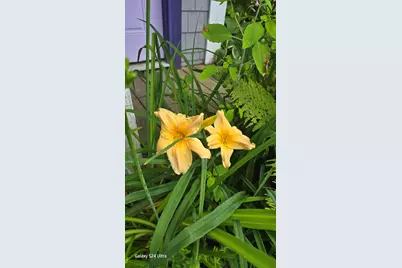 27 Mountain View Road, Leeds, ME 04263 - Photo 61