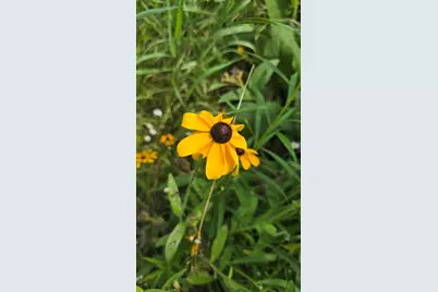 27 Mountain View Road, Leeds, ME 04263 - Photo 59