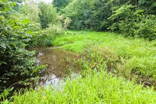 29 Kents Hill Rd, Wayne, ME 04284 - Photo 3