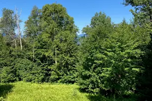 Lot 15-021 Taras Way Way, Bethel, ME 04217 - Photo 9