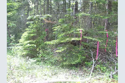 3-24D Smith Road, Macwahoc, ME 04451 - Photo 13