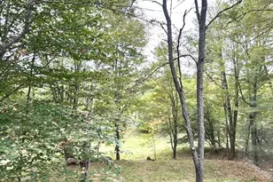 176 Long Falls Dam Rd, New Portland, ME 04961 - Photo 11