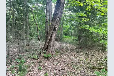 80 Gammon Road, Peru, ME 04290 - Photo 15