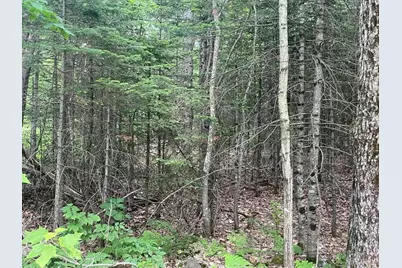 80 Gammon Road, Peru, ME 04290 - Photo 5