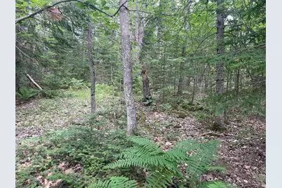 80 Gammon Road, Peru, ME 04290 - Photo 11