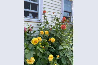 1020 Hendricks Hill Road, Southport, ME 04576 - Photo 99