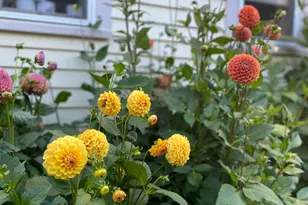 1020 Hendricks Hill Rd, Southport, ME 04576 - Photo 99