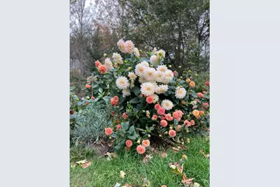 1020 Hendricks Hill Road, Southport, ME 04576 - Photo 101