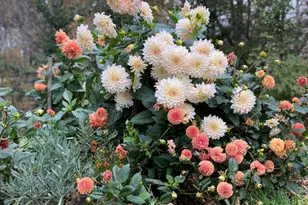 1020 Hendricks Hill Rd, Southport, ME 04576 - Photo 101