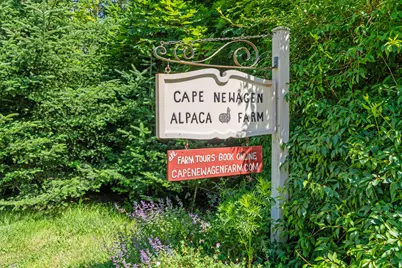 1020 Hendricks Hill Road, Southport, ME 04576 - Photo 65