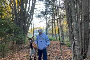 1020 Hendricks Hill Rd, Southport, ME 04576 - Photo 93