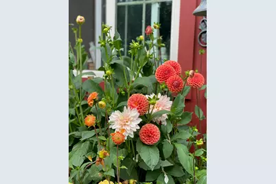 1020 Hendricks Hill Road, Southport, ME 04576 - Photo 103